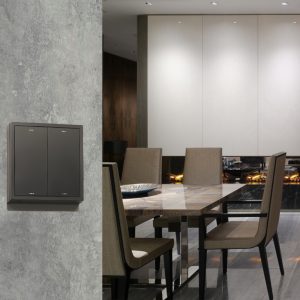 ABS gray 2 1.1 The Modern Classic Smart Switch