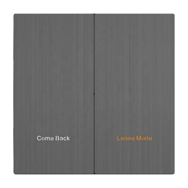 Gray SS Stainless Steel Precision Smart Switch