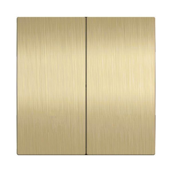 gold ss Stainless Steel Precision Smart Switch