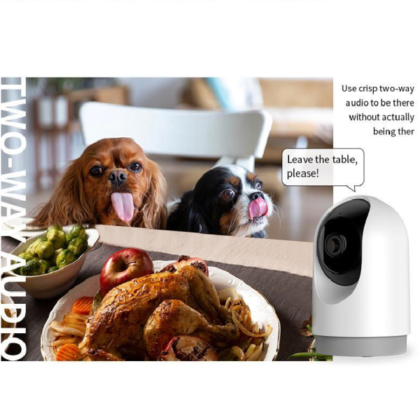 Smart Indoor Camera